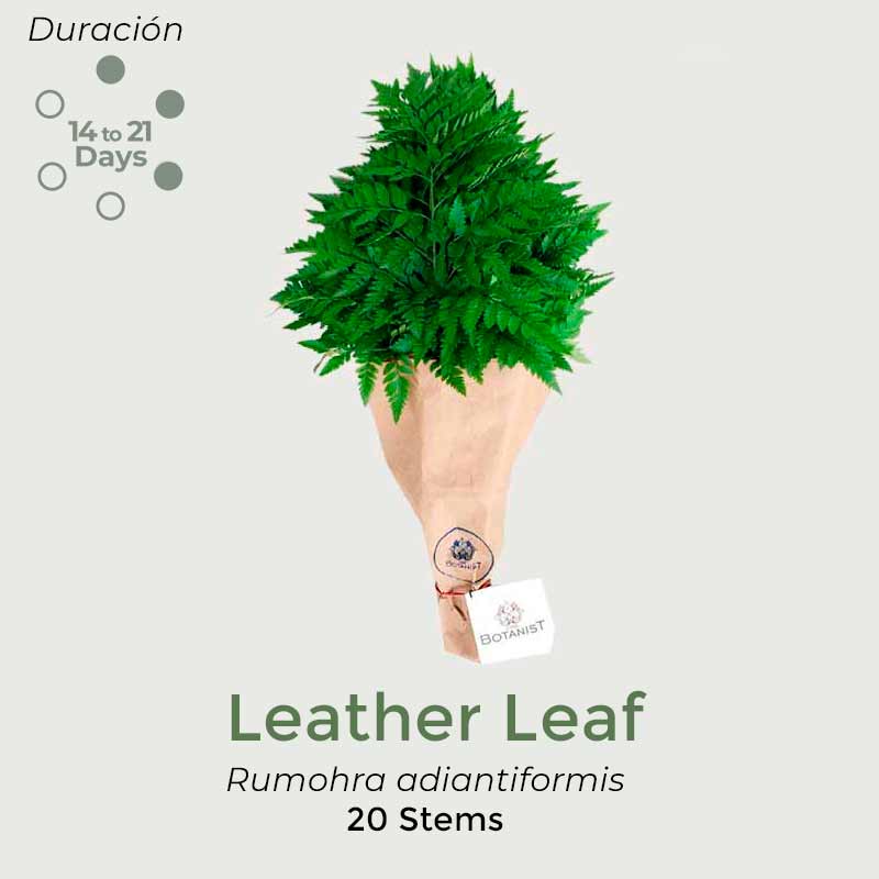 Leadether