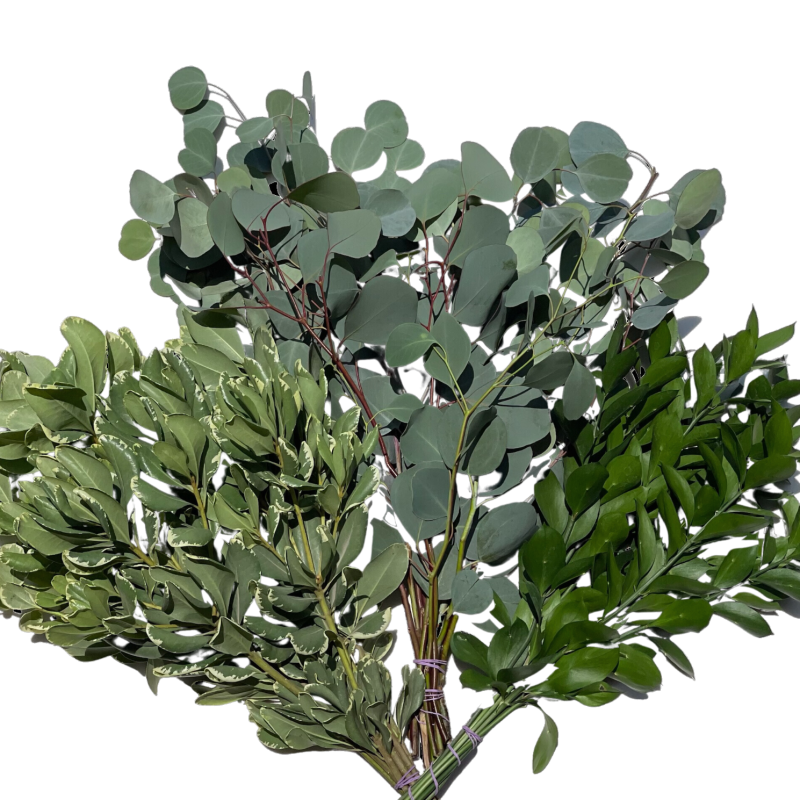 Suscripción de Green Bouquets