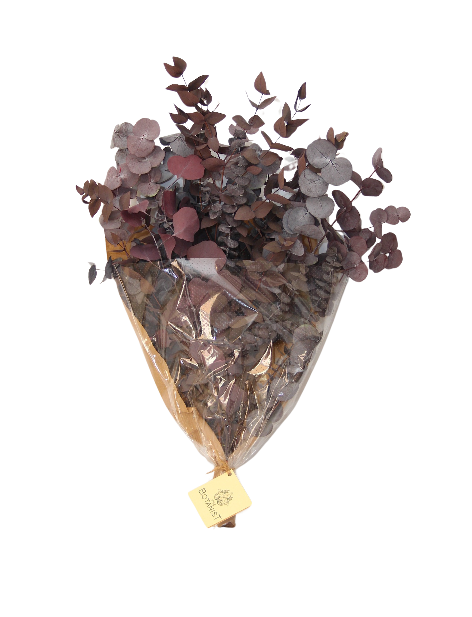 3458edaf-3c9e-4b8b-8575-4088ffa897b8.png