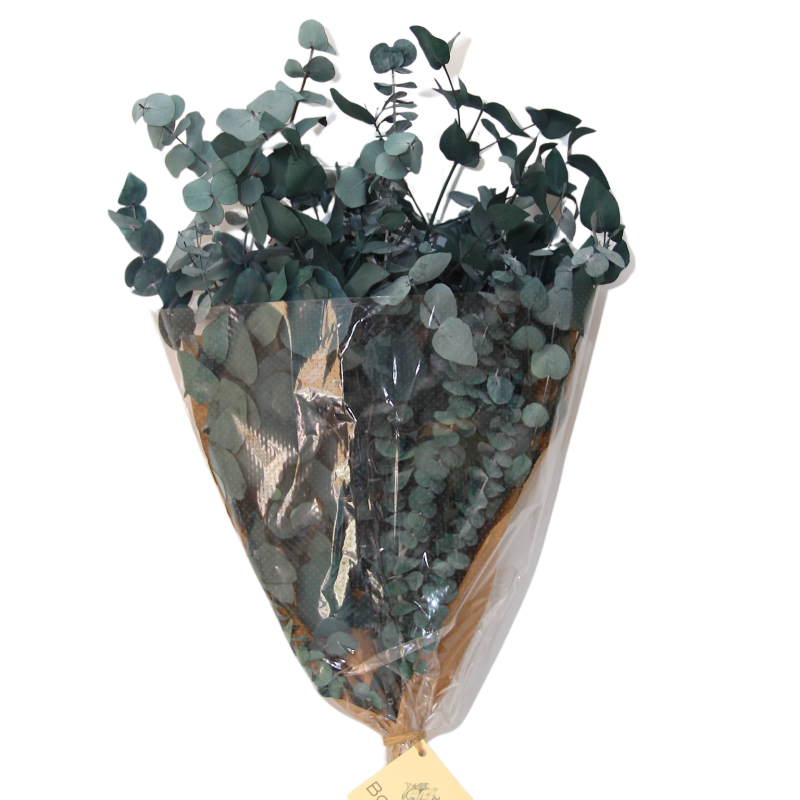 Bouquet de Eucalipto Preservado