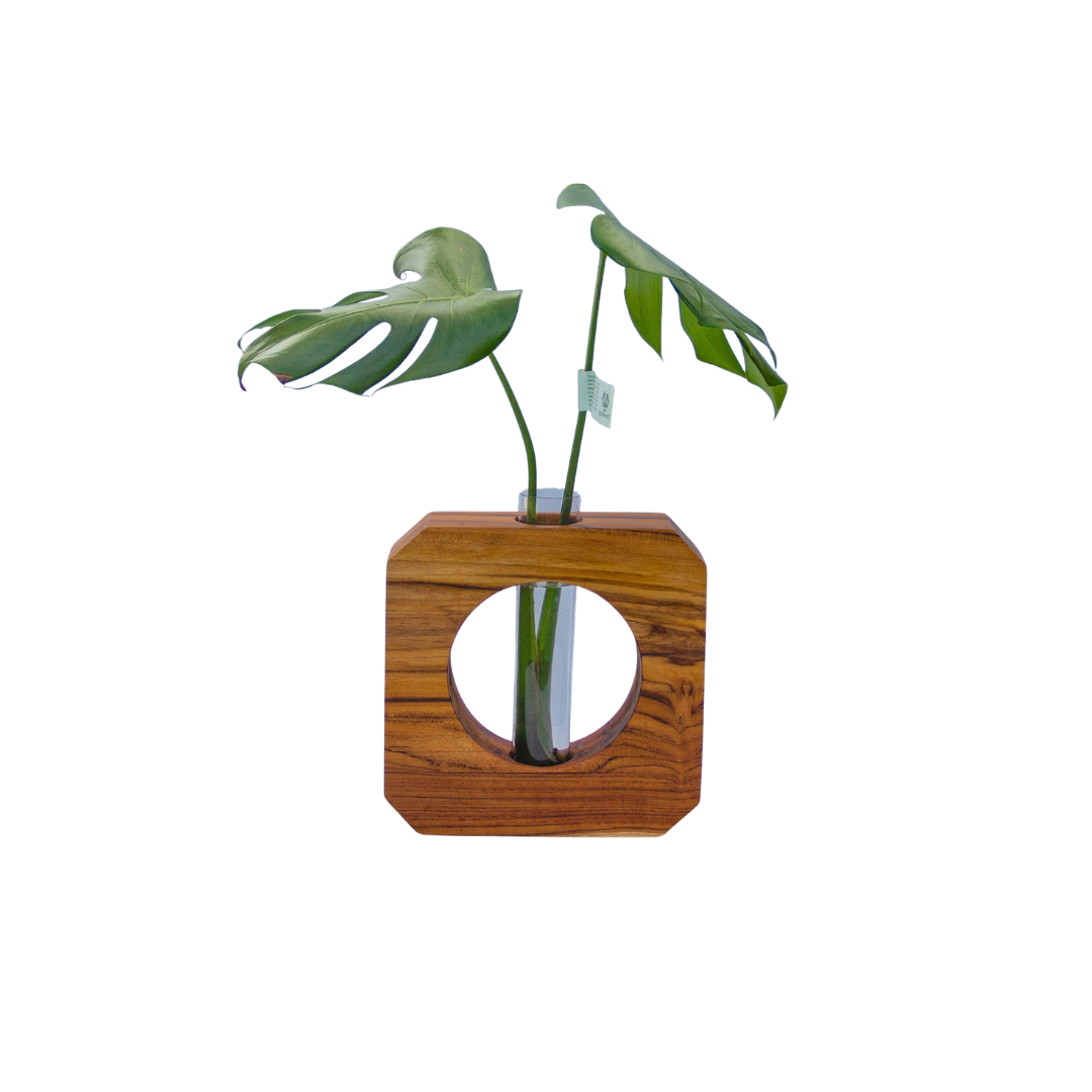 Fotos WEB(1080 × 1080 px).png 22