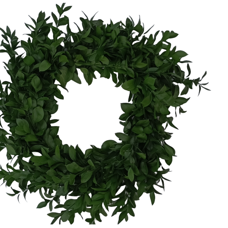 Corona natural de Ruscus 19"